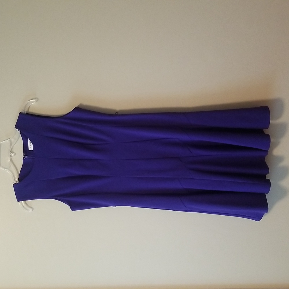 NWOT CALVIN KLEIN Purple Size 8, Gorgeous cocktail dress with built in slip.